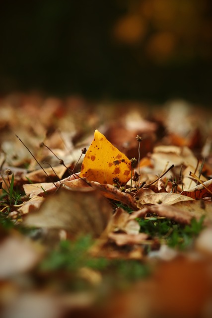 顽强拼搏精 顽强拼搏精