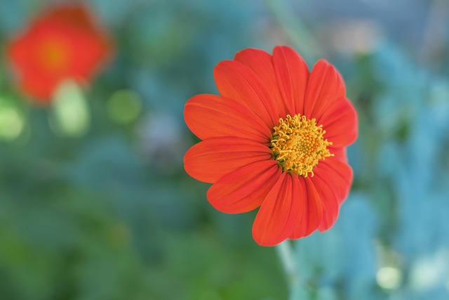 真主党表示 真主党表示