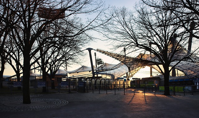 球领域取得 球领域取得