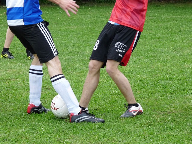 业内人士指 业内人士指