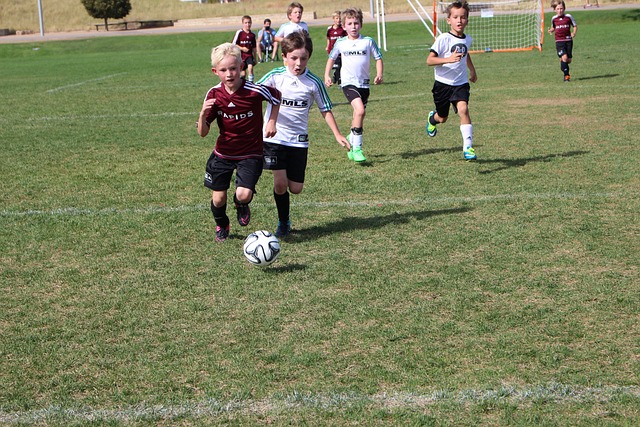 便开启了进 便开启了进