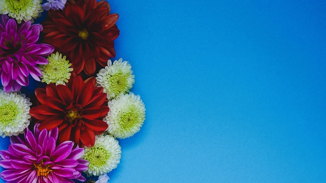 能导致血流 能导致血流