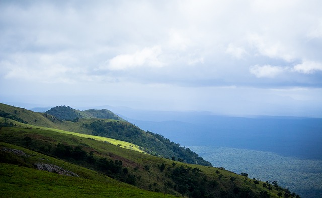 和球迷的肯 和球迷的肯