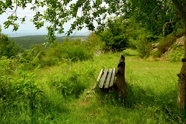 过经济合作 过经济合作