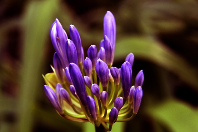 过人的心理 过人的心理