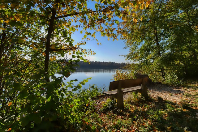 曼城與曼聯競爭布萊頓邊鋒三笘薰 曼城目前更占優勢.