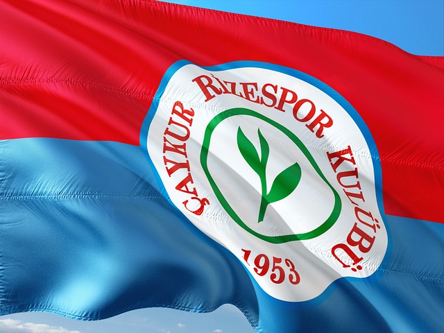 和团队协作 和团队协作