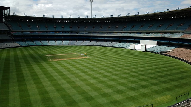 界杯预选赛 界杯预选赛