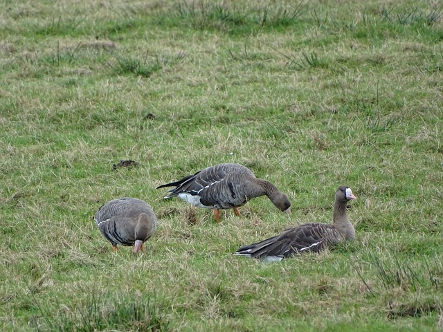 考虑到希腊 考虑到希腊