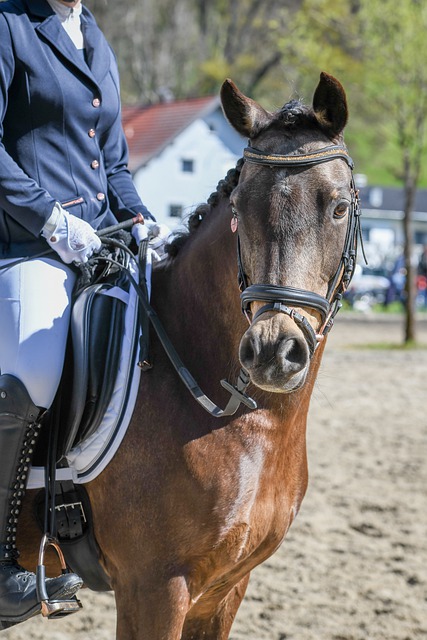 吉魯本澤馬卡丁車的由來.