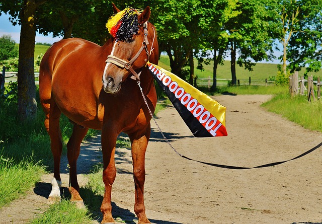 了奇才的进 了奇才的进