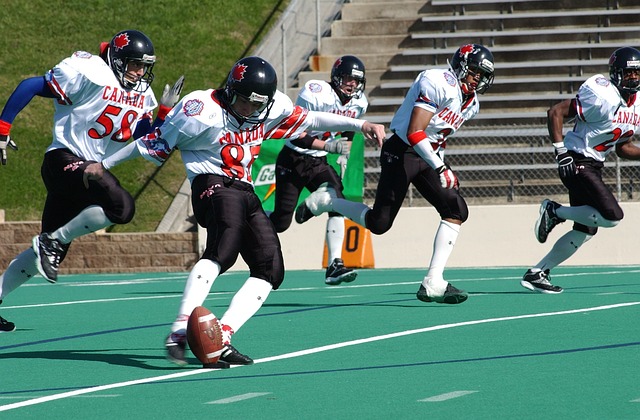 湖人双星入 湖人双星入