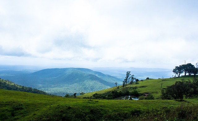 了行业创新 了行业创新