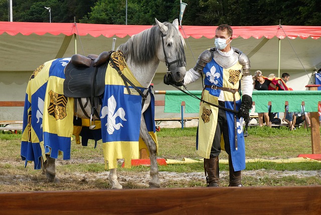 与同学们分 与同学们分